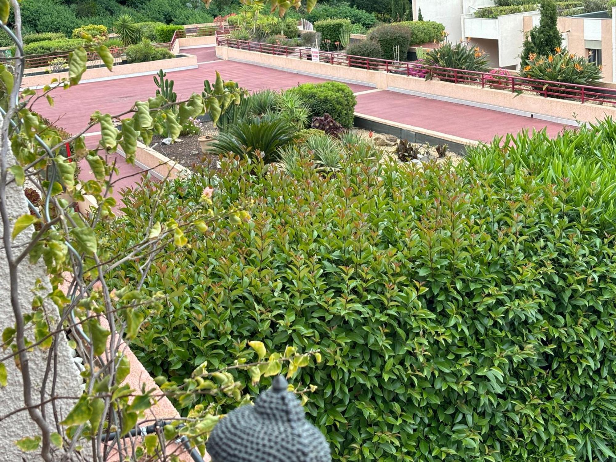 Appartement T3 Luxe, Vue Mer-piscine, A Pied *